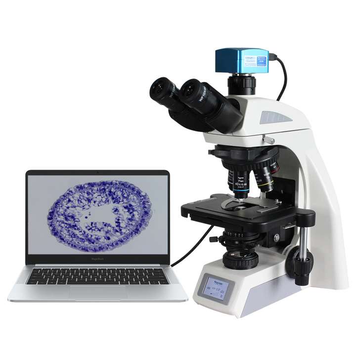 BL-620T病理生物学研究显微镜