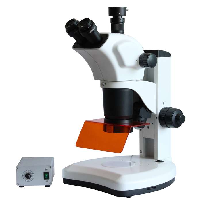 FTL-7063A三目荧光体视显微镜